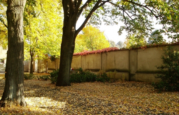 Die vergessenen Gräber auf dem Städtischen Friedhof Altglienicke