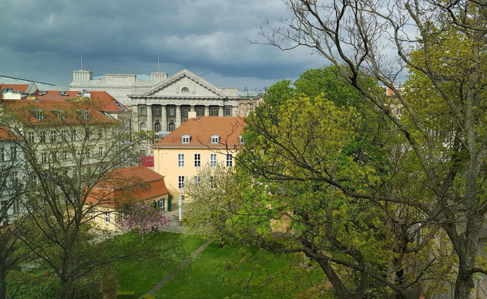 Garten des Magnushauses